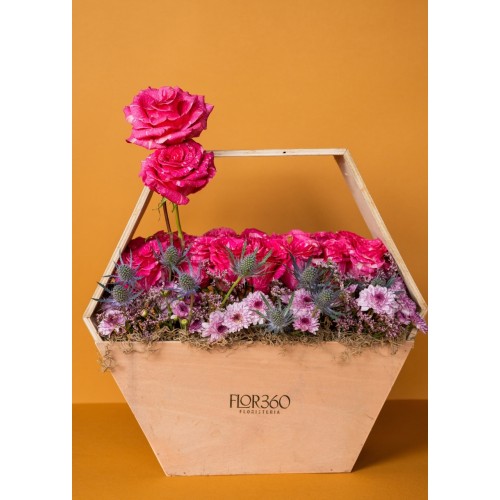 24 Garden Roses
